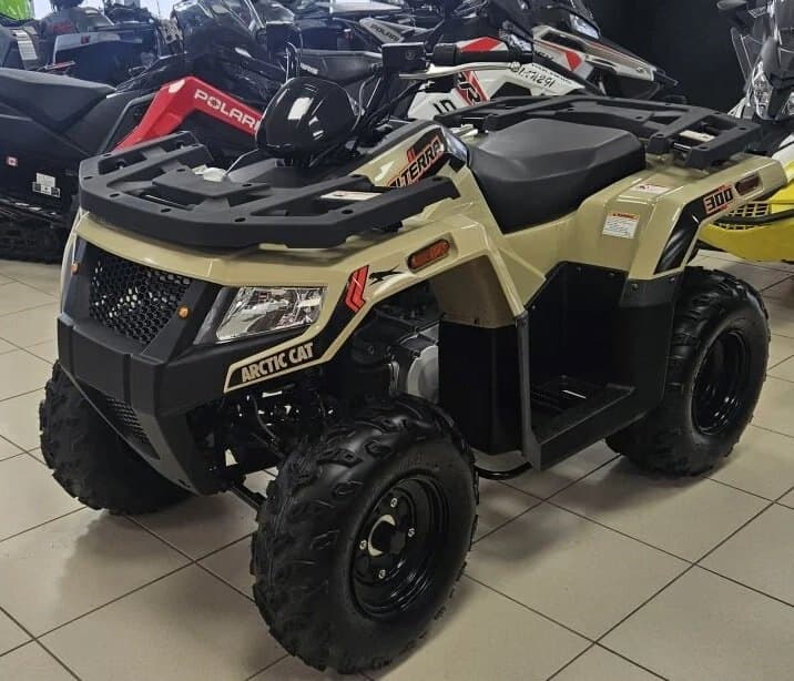 2023 Arctic Cat Alterra 300
